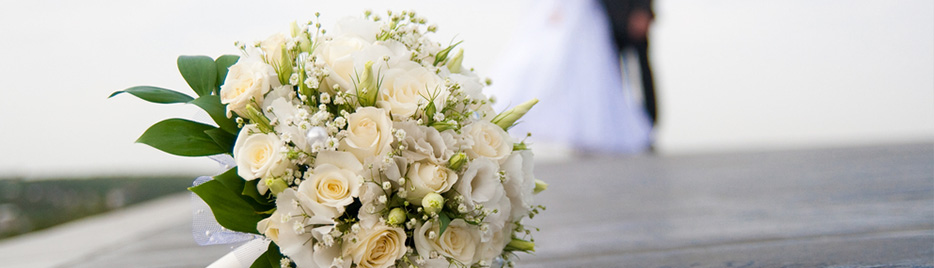 Wedding & Engagement
